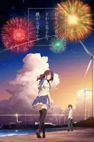 Fireworks (2017) VF